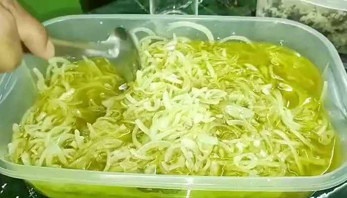 Cebola da Vó Osiris